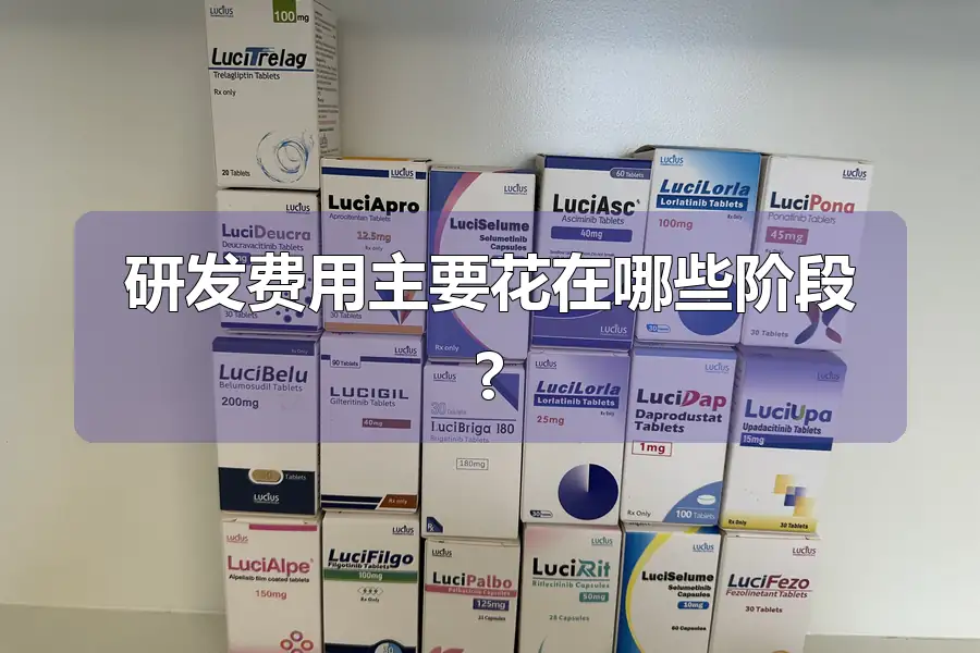 研发费用主要花在哪些阶段?